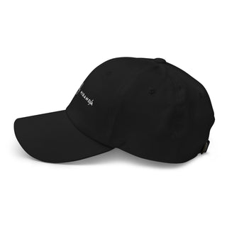 Embroidered Dad hat